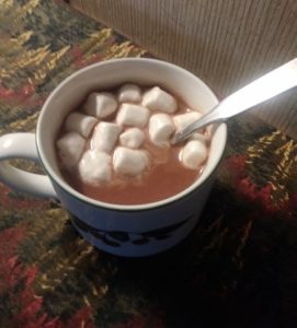 Hot Cocoa Helps Weight Loss